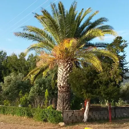 Club Karya Villa Akbük